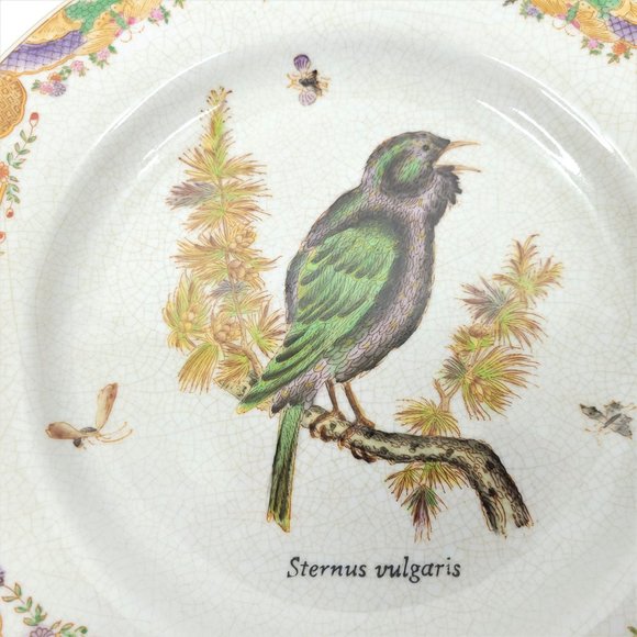 Wong Lee Decorative Bird Plate Sternus Vulgaris Starling Collectible Wall Table - Picture 4 of 7